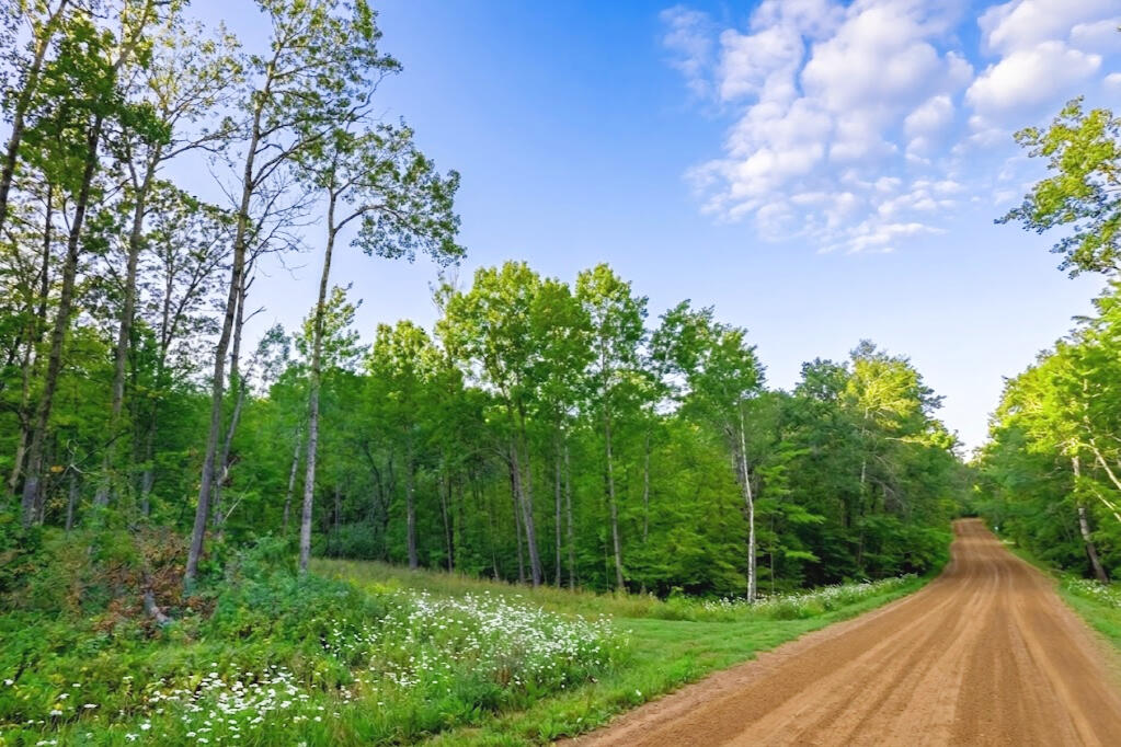 Morrison 0.86 Acres, 081058000 Diamond Dr #2 - Diamond Dr, Cushing, MN 56443